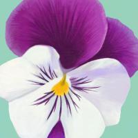 Flower Art 2 #91729 Flower Art 2 #91729