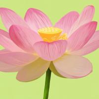 Flower Art 3 #91730 Flower Art 3 #91730