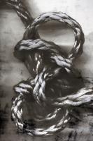 Knotted Rope Study 3 #103216