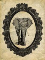 Framed Elephant #89752