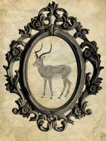 Framed Gazelle #89753