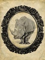 Framed Rhinoceros #89756