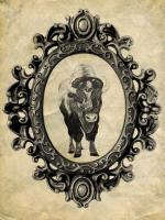 Framed Bison #89760