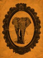 Framed Elephant in Tangerine #89768