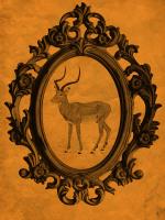 Framed Gazelle in Tangerine #89771