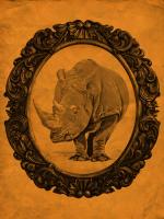 Framed Rhinoceros in Tangerine #89780