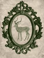 Framed Gazelle in Evergreen #89793