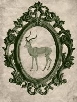 Framed Gazelle in Evergreen #89793 Framed Gazelle in Evergreen #89793