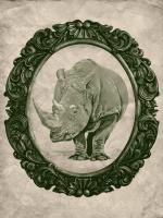 Framed Rhinoceros in Evergreen #89802