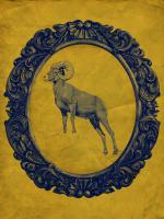 Framed Bighorn Sheep in Yellow #89812