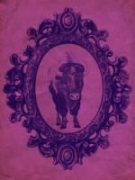 Framed Bison in Violet #89814