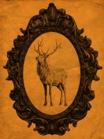 Framed Elk in Tangerine #89816