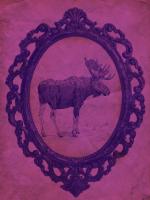 Framed Moose in Violet #89823
