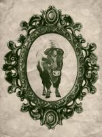 Framed Bison in Evergreen #89835