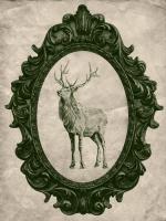 Framed Elk in Evergreen #89838