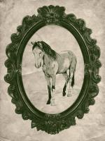 Framed Paint Horse in Evergreen #89841