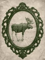 Framed Moose in Evergreen #89844