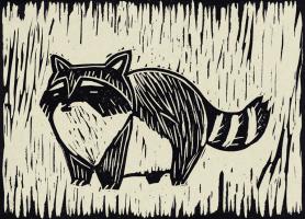 Raccoon Linocut #90961