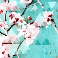 Crystalized Cherry Blossoms #98858