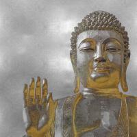 Silver and Gold Buddha #TY112674