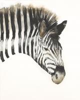 Zebra Stripes #UJAR-121