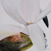 White Magnolia #USTL-107