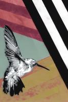 Hummingbird - Recolor #102842