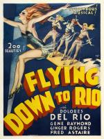 Flying Down To Rio #VM113639