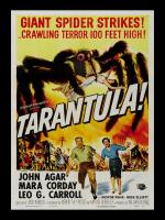 Tarantula #VM113651