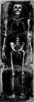 Skeleton I #WG112368 Skeleton I #WG112368