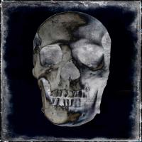 Skull II #WG112373