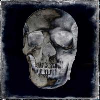 Skull II #WG112373 Skull II #WG112373