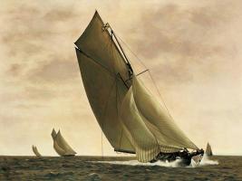 Newport, 1903 #WM1236 Newport, 1903 #WM1236