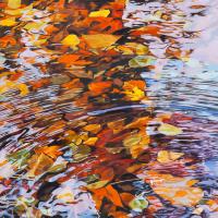 Staccato #87164 Staccato #87164