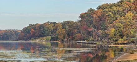 Autumn Mason Neck Virginia Potomac River #92238