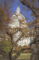 US Capitol Autumn #92303