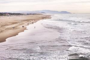 Ocean Beach #92386 Ocean Beach #92386