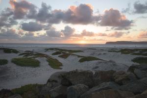 Coronado Beach Dusk #92398