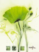 Coquelicot vert I #IG 2426 Coquelicot vert I #IG 2426