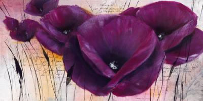 Pavot violet II #IG 3994 Pavot violet II #IG 3994