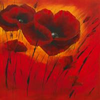 Quand l«amour fleurit I #IG 4514 Quand l«amour fleurit I #IG 4514