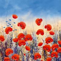 Sunset Poppies #IG 4519 Sunset Poppies #IG 4519