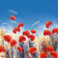 Poppy Meadow I #IG 4521 Poppy Meadow I #IG 4521