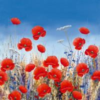 Poppy Meadow II #IG 4522 Poppy Meadow II #IG 4522