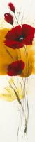 Libert fleurie III #IG 4631 Libert fleurie III #IG 4631