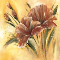 Fleur brune I #IG 4740 Fleur brune I #IG 4740