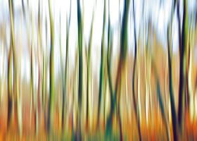 Abstrahierte Welten I #IG 4749 Abstrahierte Welten I #IG 4749