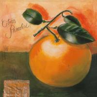 Citrus Paradisi #IG 4934 Citrus Paradisi #IG 4934