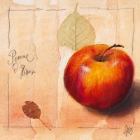 Pomme d«Hiver #IG 4938 Pomme d«Hiver #IG 4938