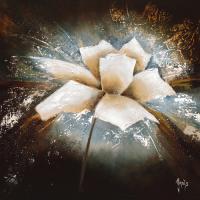Fleur d«toile I #IG 5000 Fleur d«toile I #IG 5000